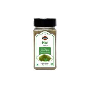 durvesh-mint-powder-90g